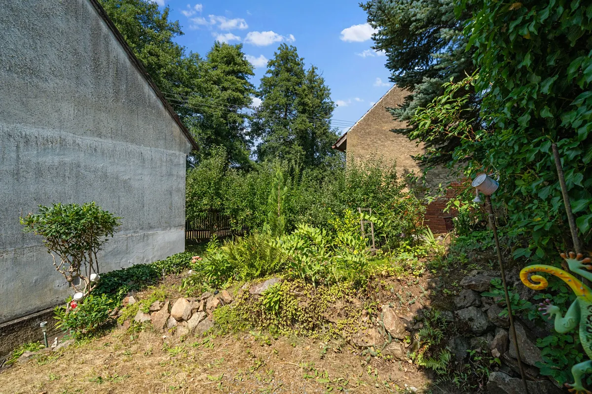 Fotka 19 z 25